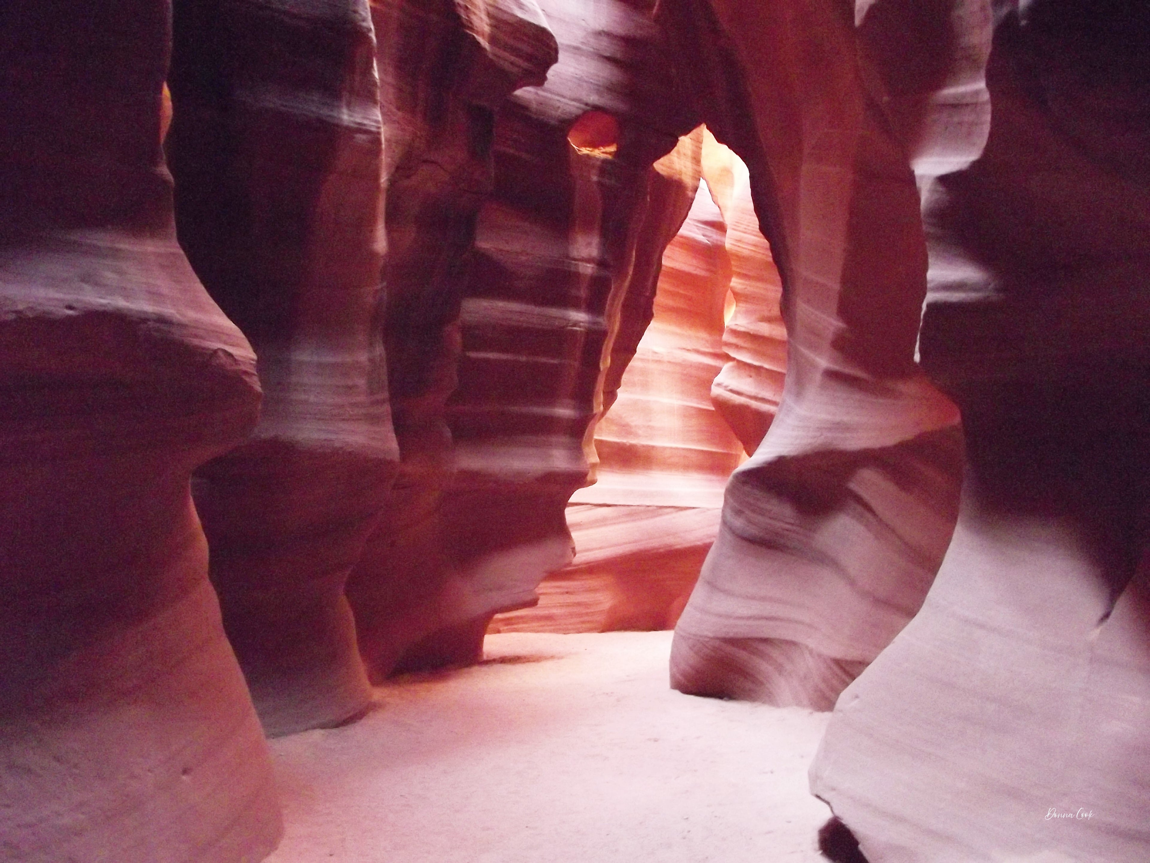 Bear and the God Antelope Valley