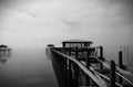 B&W MIsty Morning