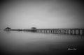 B&W Pier after Laura