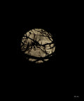 Mother Nature's Moon